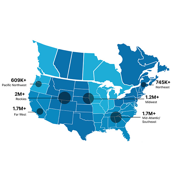 Audience Profile